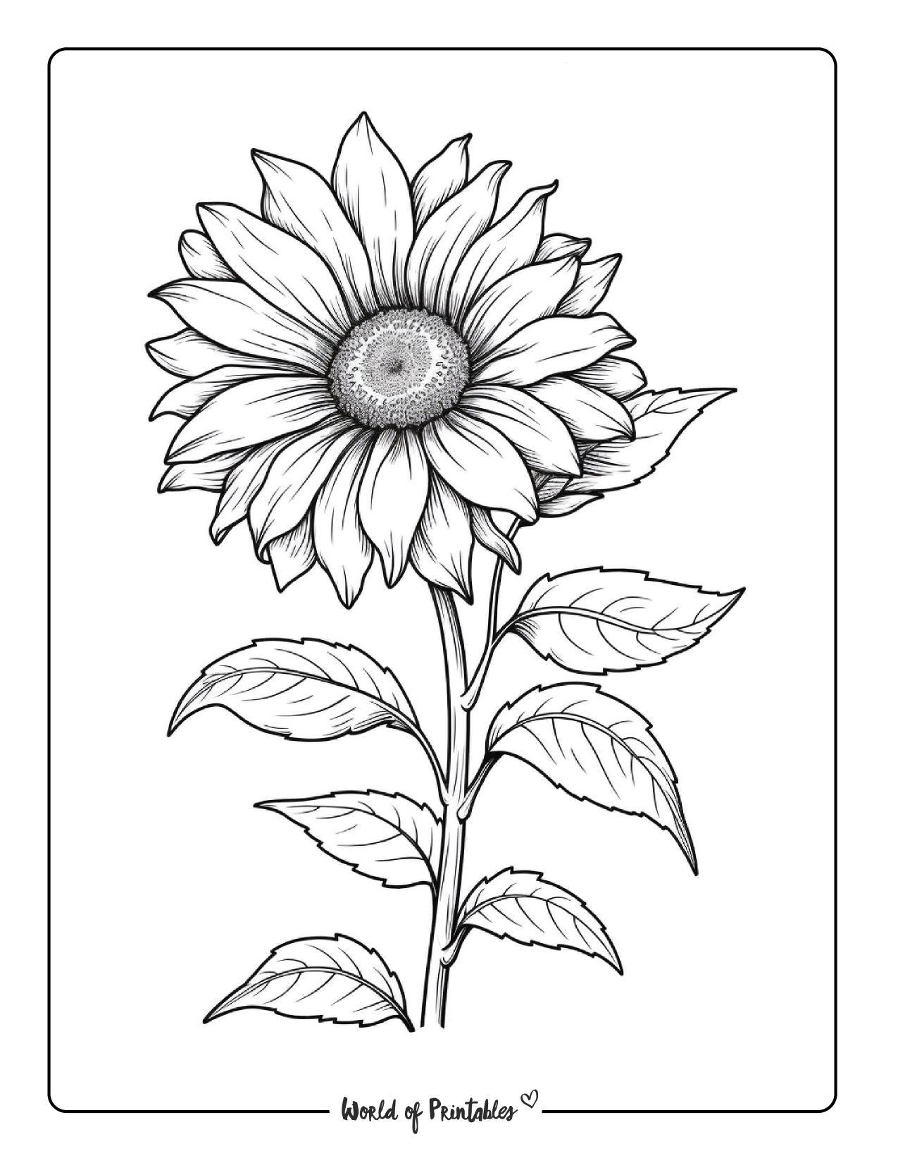 Flower Coloring Page for Adult