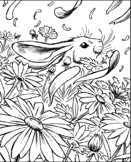 Flower Daisy Coloring Pages