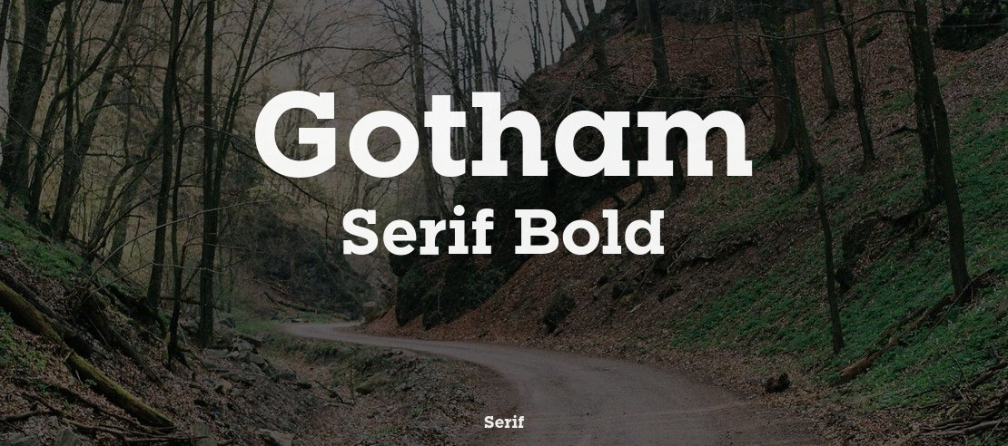 Gotham Serif Bold Font