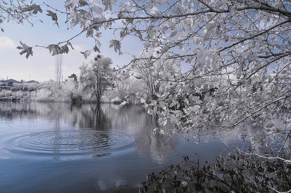 Infrared River Photography