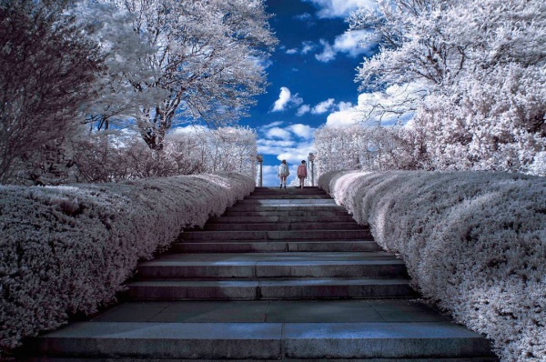 New york City Infrared Photography