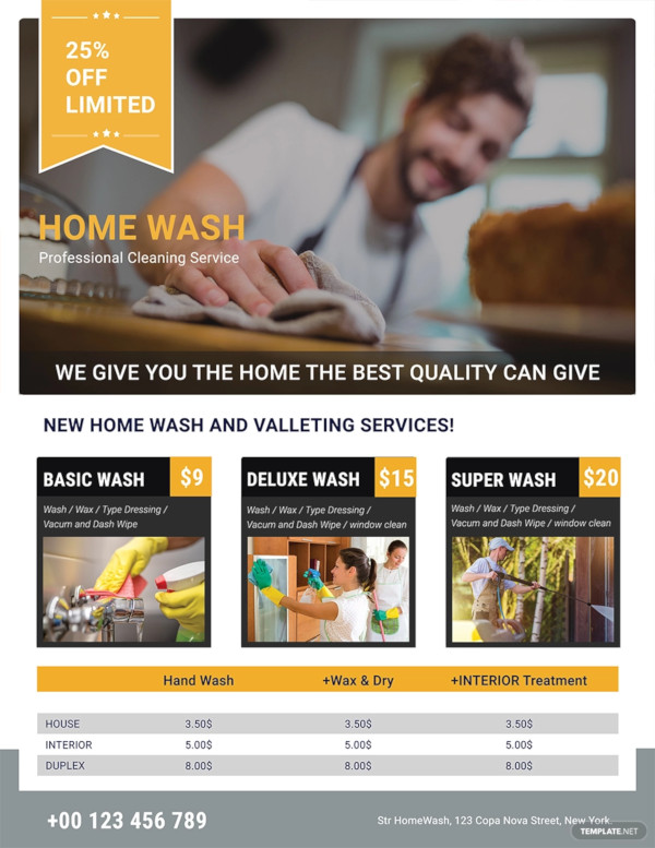 professional cleaning services flyer 