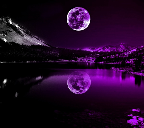 21 Purple Wallpapers Backgrounds Images Pictures 