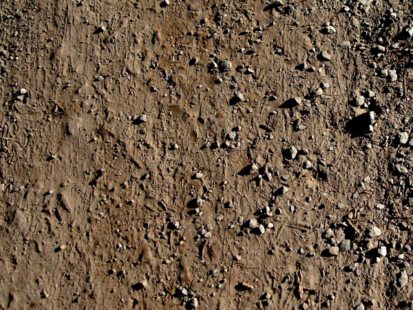 Brown Tone Dirt Road texture