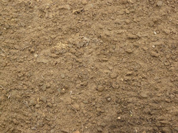 Brown ground Dried Dirt texture