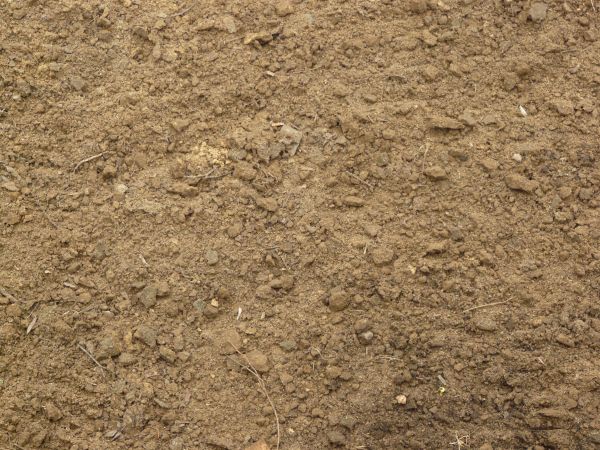 FREE 21+ Soil Texture Designs in PSD | Vector EPS