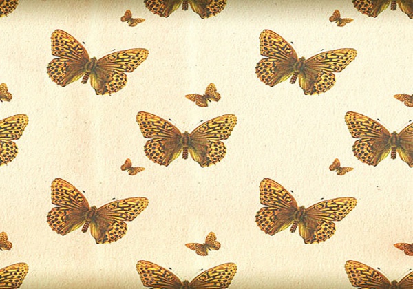 Butterfly Pattern with an Antique Touch