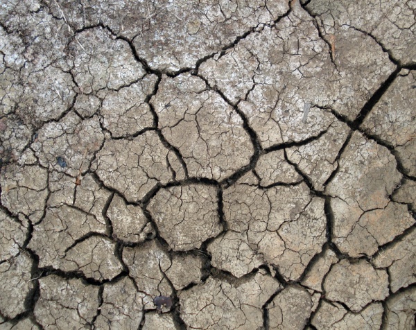 Download Cracked Soil texture