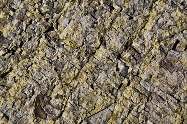 Download Sedimentary Rock Texture