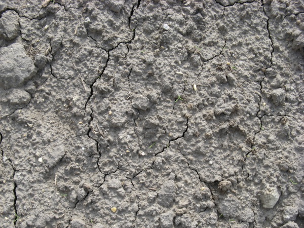 Dry Earth Grey Soil Texture