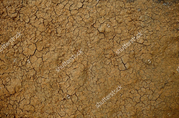 Dry soil texture background.