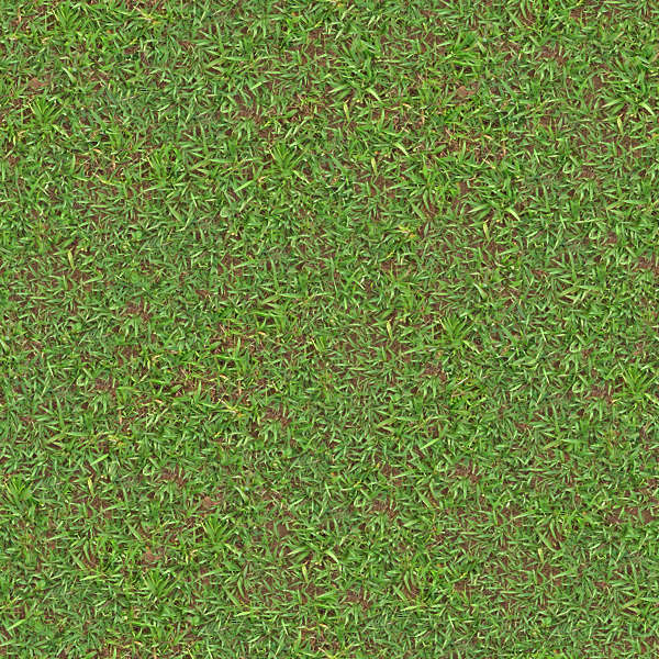 Fully Mixed Lawn Texture