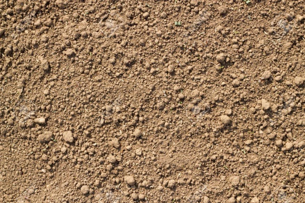 seamless soil texture