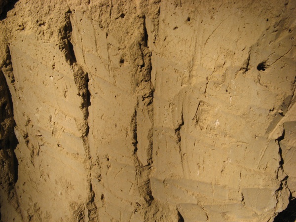 Ground Sand Soil Yellow Texture