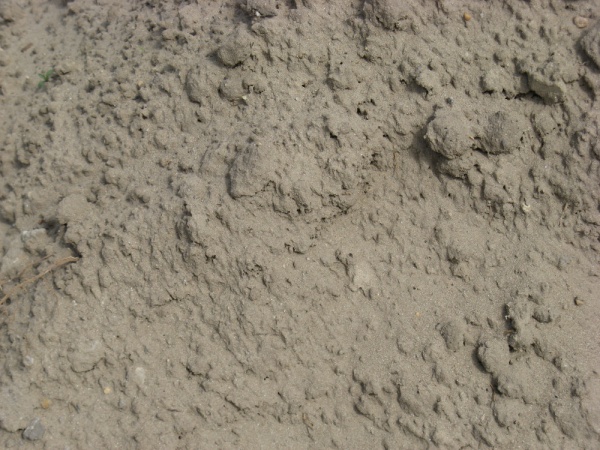 Ground dry earth mud soil texture