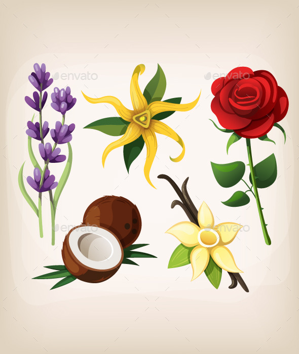 Isolated colorful vector flowers