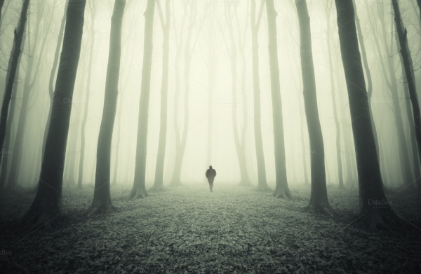 Man on path in surreal forest