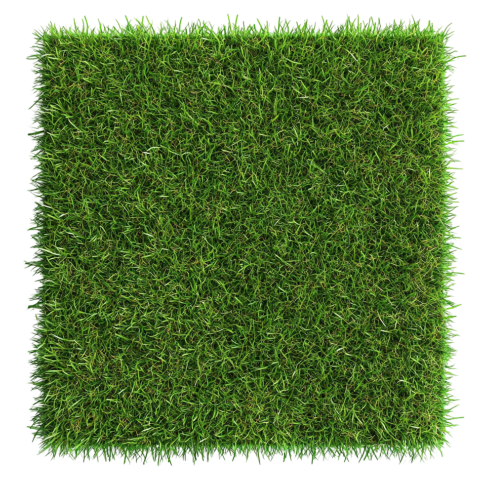 Natural Green Original Grass Carpet