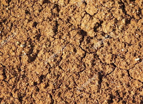 Seamless soil Land Texture