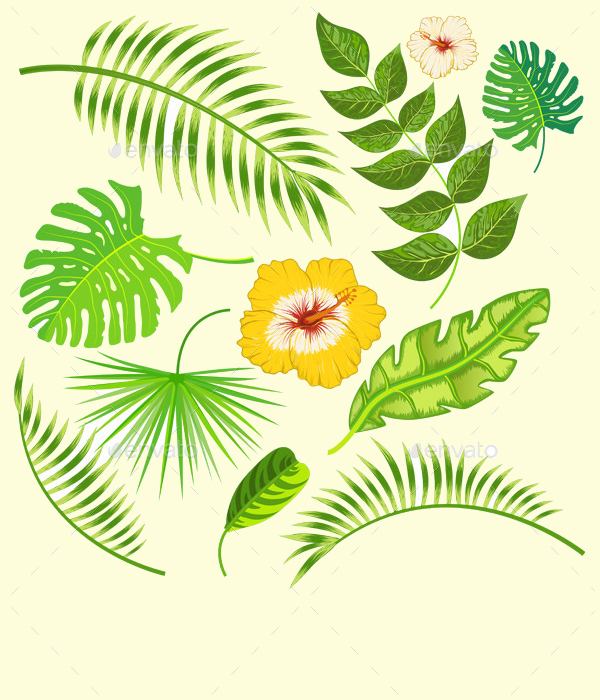 Tropical Leaves and Flowers Vector