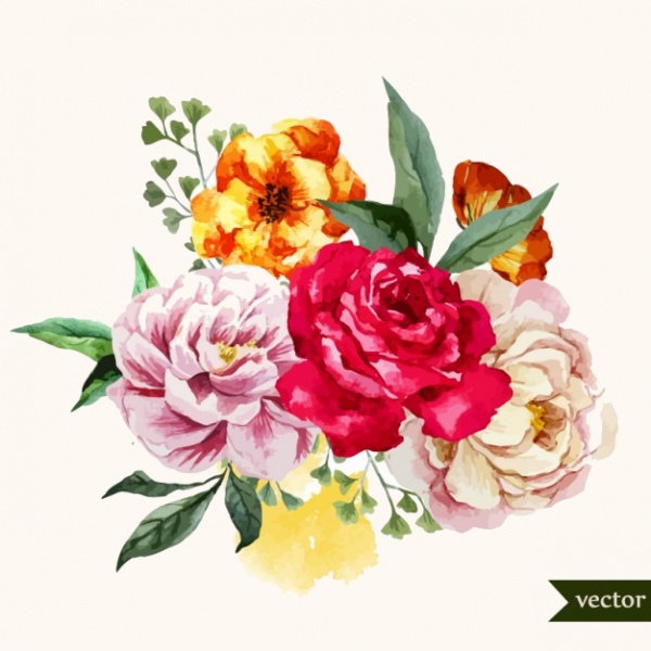 Watercolor bouquet of flowers Vector