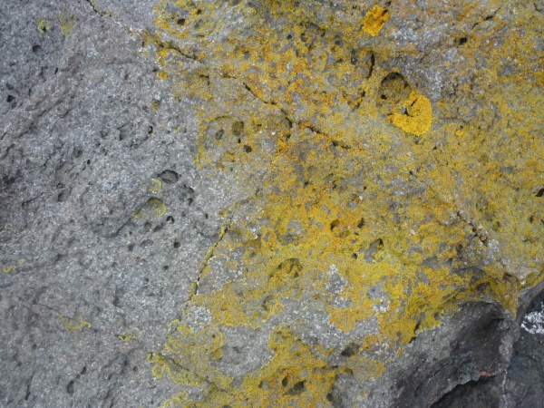 Weathered Colored Rock Texture