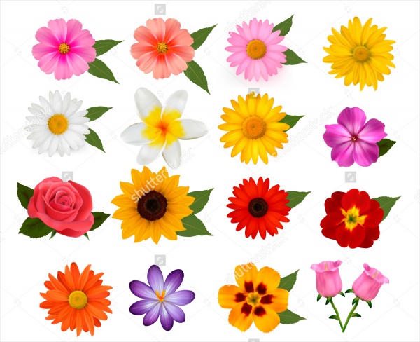 free 10 colorful vector flowers for graphic artwork in