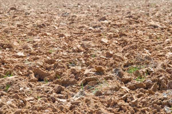 brown digged soil Texture