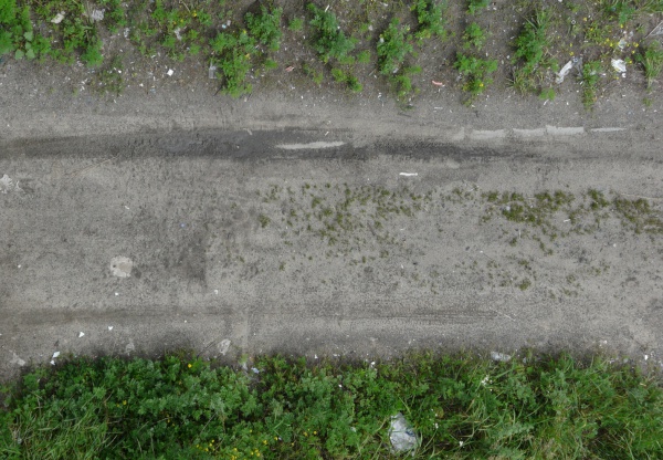 dirt road with vegetation