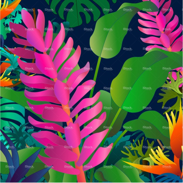 heliconia tropical flowers Pattern