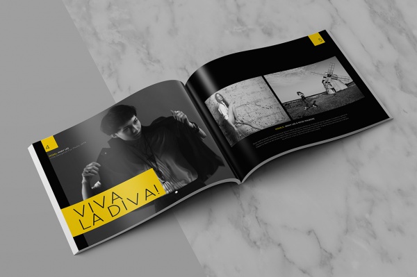 Portfolio InDesign Brochure Design