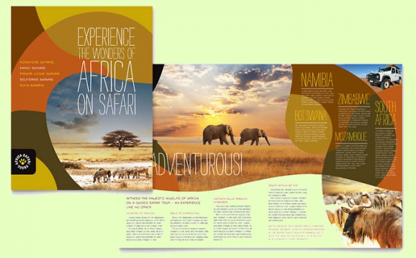 African Safari Brochure Template