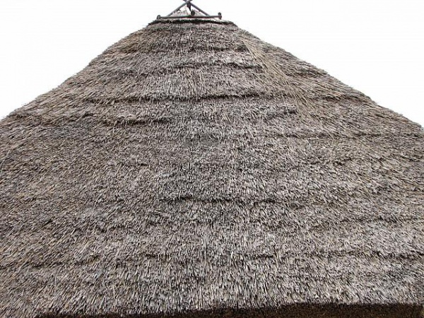 Amazing Thatched Roof Texture