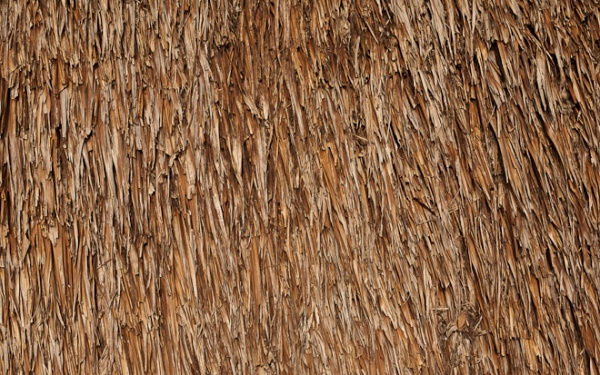 Awesome Thatched roof texture