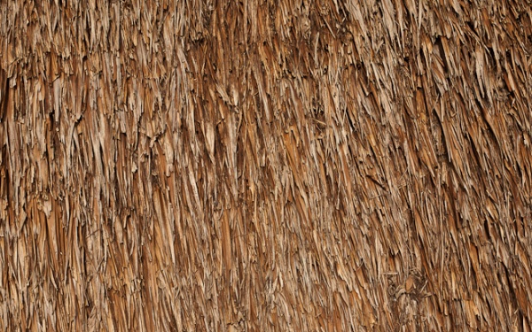 Seamless Thatch Texture