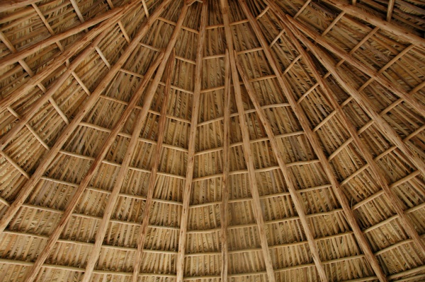 Beautiful Thatched Roof Texture