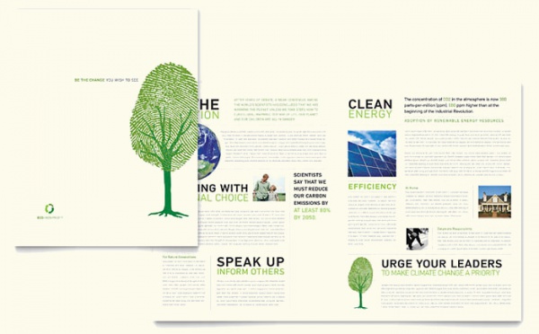 Environmental Non Profit Brochure