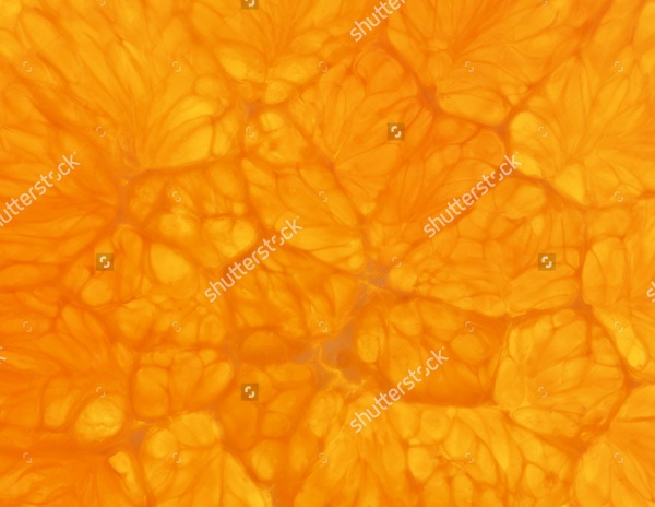 Fresh Orange slice Texture