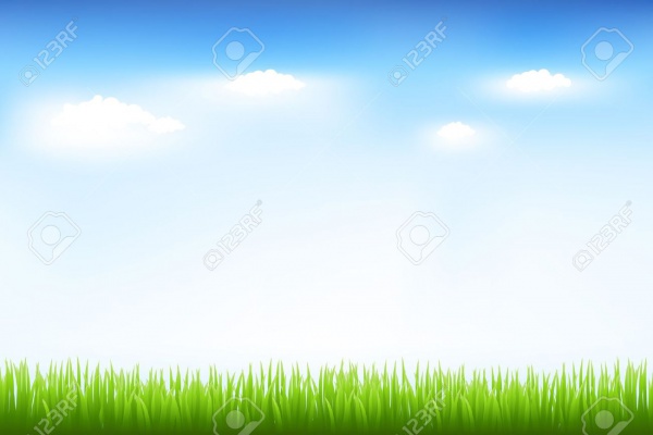 Green Grass And Blue Sky Vector