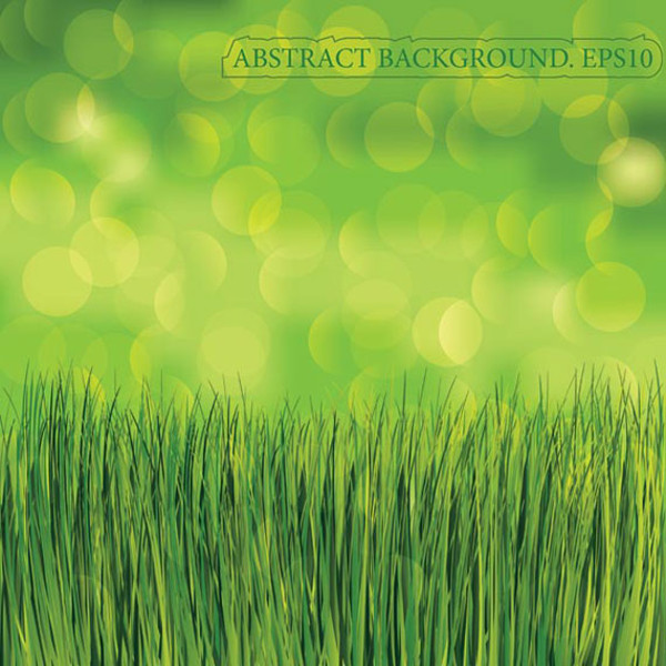Green grass background vector