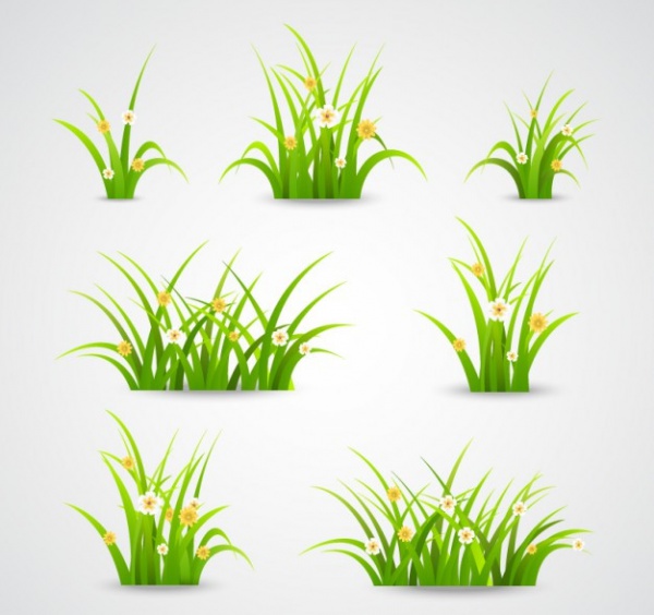 Green grass collection Vector