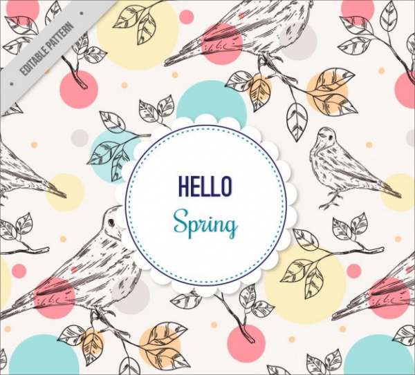Hand Drawn Birds Pattern With Colored Circles