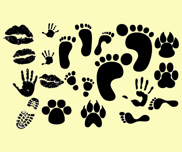 Human Foot Print Vectors