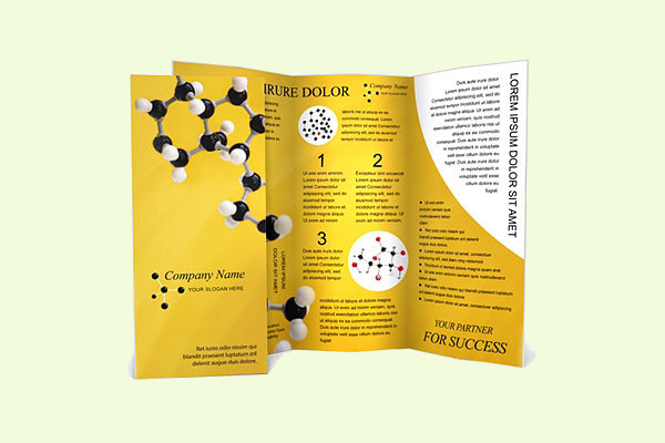 Molecular Model Science Brochure