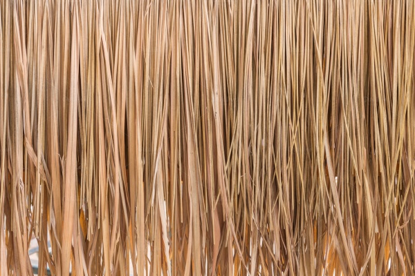 seamless thatch texture