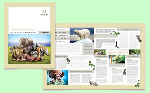 Nature & Wildlife Conservation Brochure