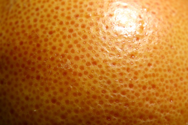 Orange Skin Macro Texture