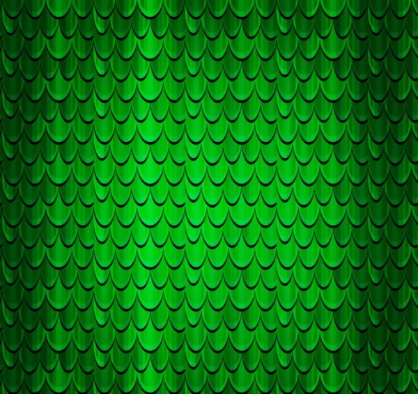 Scales of a reptile background Texture