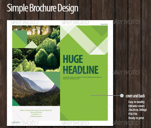 Simple Green Brochure Design