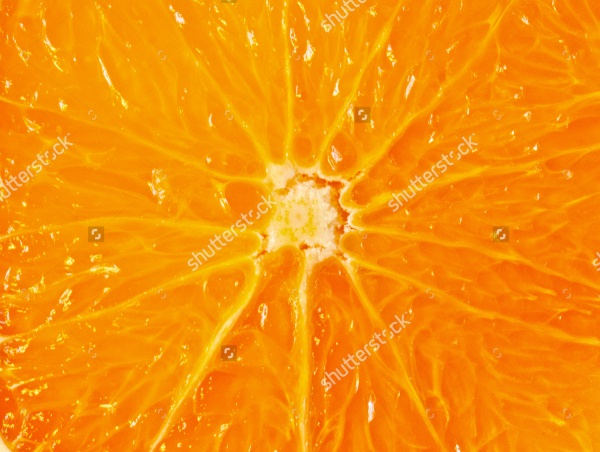 Sliced orange close-up Texture